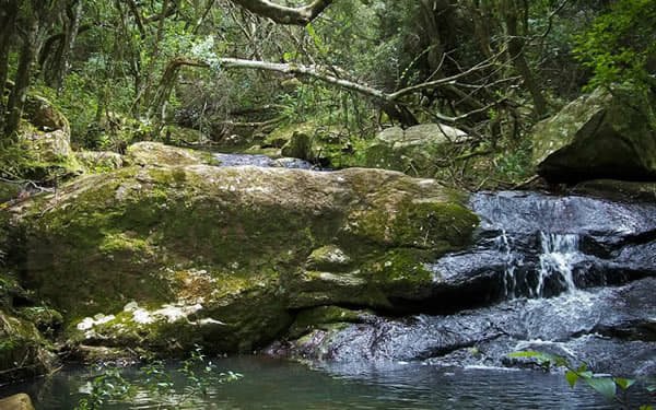 Chacra Rural en las Sierras